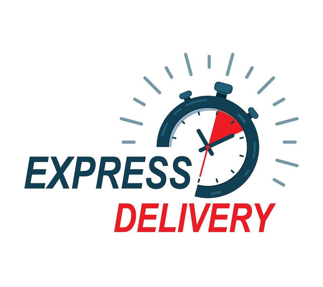 A graphic indicating express delivery with a stylized clock icon and the words 'EXPRESS DELIVERY' in capital letters.